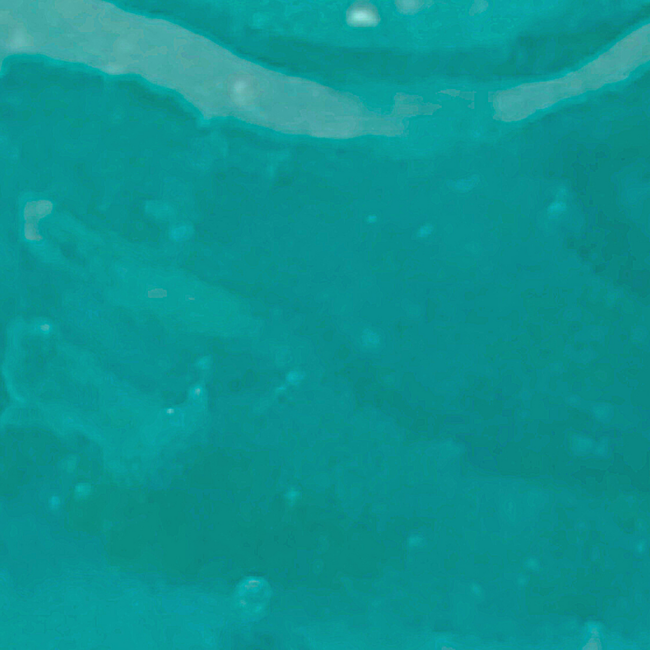 OCEAN JELLY Mask -it's back in stock!-4